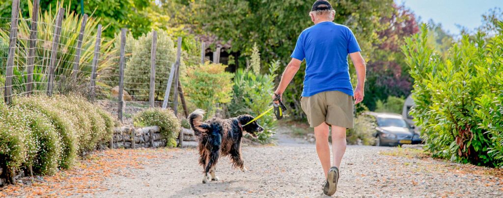 Camping accepte animaux dordogne