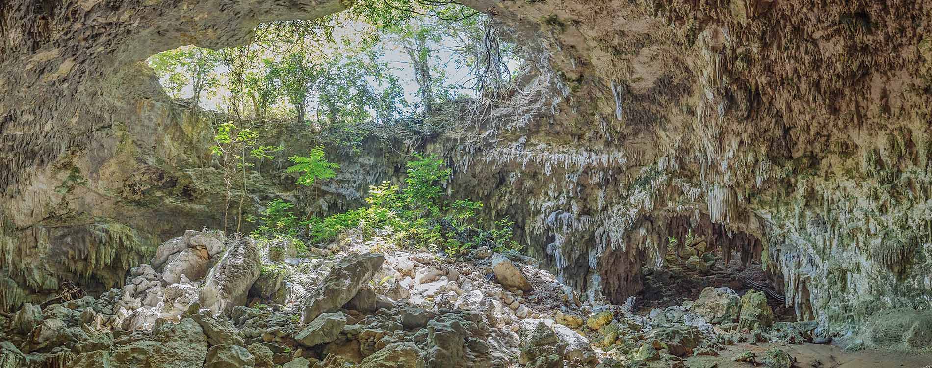 grotte prehistoire dordogne